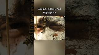 Даже испугаться не успели #фильмы #боевики #кино #kino #film #movie #вестерны #чтопосмотреть
